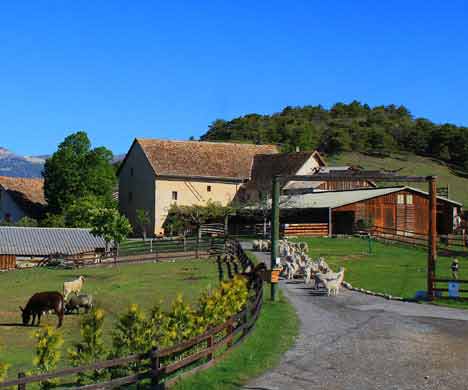 ferme pédagogique hautes-alpes 05 gap