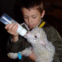 sortie scolaire animaux hautes-alpes gap