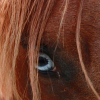 sortie nature enfant hautes-alpes 05